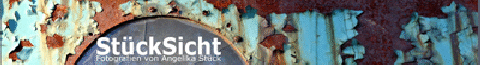 banner1a
